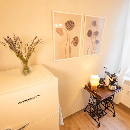 Herzraum Appartement,Kostenfreier Parkplatz,Innenstadt Babybett,Familie U Buisness,Gratis Kaffee Und Tee Bautzen Exterior photo